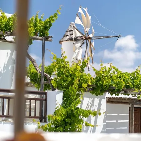 Apart-hotel Anemomilos