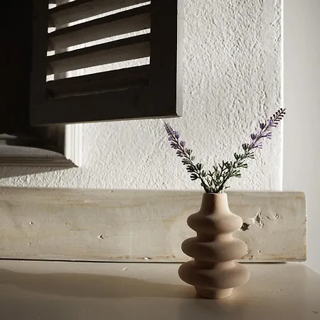Anemomilos Ξενοδοχείο με διαμερίσματα Αγία Άννα